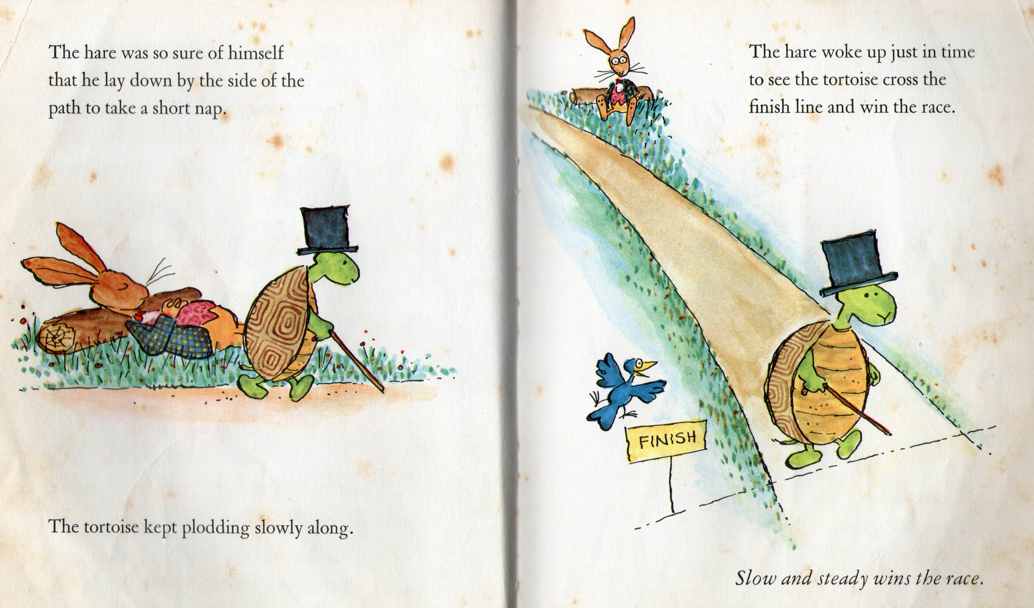 Cerita Kelinci dan Kura-kura dalam Bahasa Inggris 